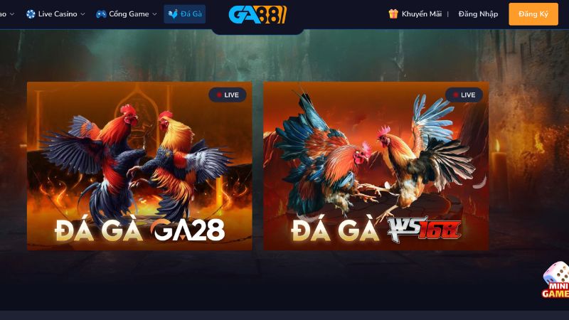 Tham gia đá gà 6686 với các trận đấu trực tiếp