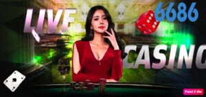 Live casino 6686